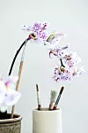 Fläckig brudorkidé i kruka där stängeln hålls upp av en pensel istället för klassisk blompinne.