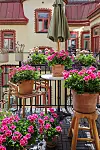 Stadbalkong fylld med rosa pelargoner i terrakottakrukor runt ett litet bord.