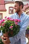 Person på balkong håller en stor kruka med rosa pelargoner framför husfasad.
