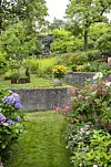 Lummig terrasserad trädgård med blommande buskar, grusgång och stenmur i flera nivåer.