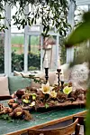 amaryllis arrangemang