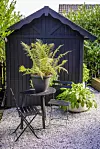Litet bord och stolar med krukväxter framför ett svart trädgårdsskjul.