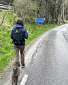 Person med ryggsäck går med hund i koppel på landsväg bredvid tätortsskylt i skog.