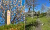 Vandringsled med träpåle och person som går genom grönskande park med blommande träd.