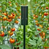 Cylindrisk sensor på stång mellan täta rader av mogna tomatplantor i växthus.