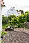Vit trävilla bakom grön häck, framför en tegelmur, grusgång och sittbänk i trädgård.