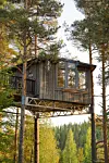 Trädhus på stålkonstruktion högt upp bland tallar med skog i bakgrunden.