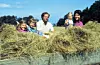 Flera personer sitter i en stor hög av hö på en vagn utomhus.