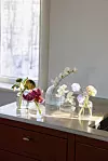 Fyra glasvaser med olika blommor står på en bänkskiva framför ett fönster.