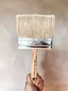 En hand håller en bred pensel framför en beige vägg med matt, kalkliknande struktur.