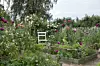 En trädgård med upphöjda odlingsbäddar, blommande växter och enkla växtstöd av grenar.