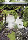 En lummig trädgård med pergola, trädäck, krukor och täta växter runt en uteplats.