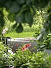 En rund jacuzzi omgiven av täta växter, krukor och blommande blommor i en grön trädgård.