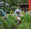 Två personer böjer sig ner i en frodig grönsaksodling med blommor och ett rött uthus bakom.