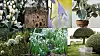 Collage med vita blommor, växter i kruka, pampasgräs, en blomma i närbild och formklippta träd i en trädgård.