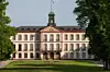 Ett slott med torn, flaggstång och gräsmatta omgivet av träd.