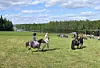 Tre personer rider ponnyer på en grön äng nära ett festivalområde med skog och vatten i bakgrunden.