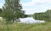 Grön äng vid en stilla älv med träd på båda sidor och himmel med tunna moln.