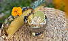 Tropisk overnight oats med kokos och ananas