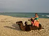 En person rider på en kamel på en solig sandstrand nära havet.