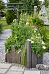 En grusgång kantas av en upphöjd rabatt med färgglada blommor, prydnadsgräs och en svart pergola i bakgrunden.