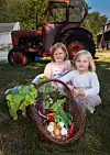 Två barn sitter framför en korg med skörd och en äldre röd traktor på en gräsplan.