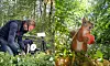 En fotograf arbetar vid kamerautrustning i en skogsglänta med en ekorre i förgrunden.
