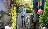 En person vattnar växter i en trädgård med blommande blommor och en hund som står i gången.