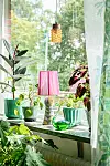 Fönsterbänk med många gröna växter, glasföremål, en rosa bordslampa och utsikt mot träd utanför.