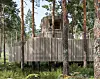Upphöjd träbyggnad bland tallar i en skog.