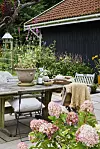 Trädgårdsuteplats med träbord, stolar, krukor och blommande hortensior framför ett svart skjul.