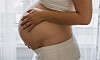 Gravid person i profil som håller om magen framför ett fönster.