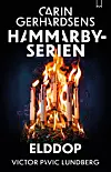 Omslag med en brinnande stol mot mörk bakgrund och vit text med bokens titel och författarnamn.