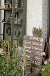 Träskylt med blompriser står bland växter utanför en butik med gröna dörrar.