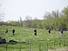People spread out walking across a grassy hillside with trees and distant buildings behind them.