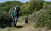 Person går på smal stig genom tät grön vegetation med en hund i kuperad terräng.