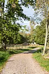 Grusväg som löper genom ett skogskantat landskap med träd, gräs och stängsel.