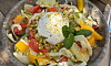 Skål med fänkålssallad och filéer av citrusfrukt. Salladen är toppad med burrata och några myntablad.