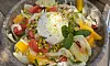 Skål med fänkålssallad och filéer av citrusfrukt. Salladen är toppad med burrata och några myntablad.