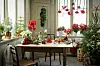 julblommor 5 i topp julstjärna, amaryllis, hyacint, rumsgran och julros