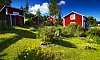 Trädgård