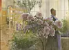 Ett stort blommande växtarrangemang i ett ljust rum med gardiner, möbler och växter.