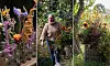 En person går i en blomstrande trädgård med höga växter och färgglada blommor.