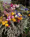 Tätt blomsterarrangemang med flera färger, främst rosa, gula, vita och blå blommor.