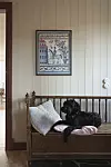 Svart hund ligger på en träbänk med kuddar under en inramad tavla på panelvägg.