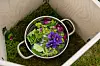 Kastrull fylld med vatten, blommor och blad placerad i en träbehållare på gräsmatta.