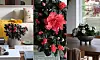 Blommor i krukor och arrangemang placerade i ett ljust vardagsrum med möbler och fönster.