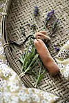Ett litet blomsterarrangemang med gröna blad och lila blommor på en flätad korg.