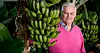 Det kommer att bli gott om bananer i Bovieran i år. Det har Dennolf Lewinsson sett till.