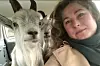 Foto: Jonna Söderberg | Kompisar kan komma i många former!